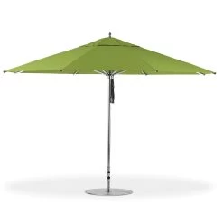 G-Series: 13' Octagon Umbrella -Swimming Equipment Store 880cam pistachio